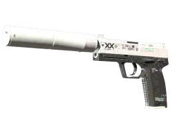 StatTrak™ USP-S | Printstream (Well-Worn)