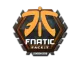 Sticker | Fnatic | London 2018 CS2 skin