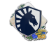 Sticker | Team Liquid | Rio 2022