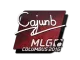Sticker | cajunb | MLG Columbus 2016 CS2 skin