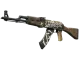 AK-47 | Wasteland Rebel CS2 skin