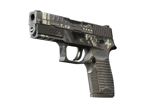 P250 | Re.built (Battle-Scarred)