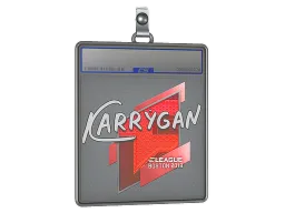 Sticker Slab | karrigan | Boston 2018