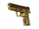 P250 | Sedimentary CS2 skin