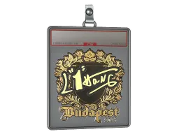 Sticker Slab | L1haNg (Gold) | Budapest 2025
