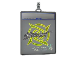 Sticker Slab | Brollan | Antwerp 2022