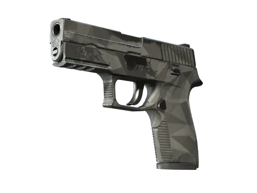 P250 | Facets (Well-Worn)