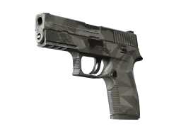 P250 | Facets CS2 skin