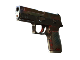 P250 | Cyber Shell (Battle-Scarred)