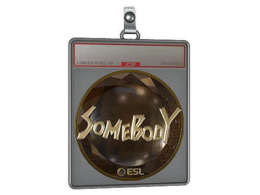 Sticker Slab | somebody (Gold) | Katowice 2019