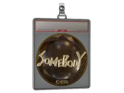 Sticker Slab | somebody (Gold) | Katowice 2019