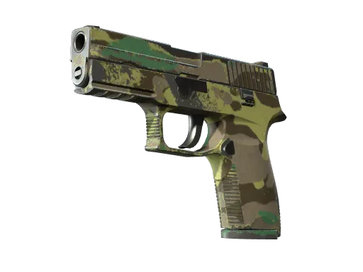 P250 | Boreal Forest (Field-Tested)