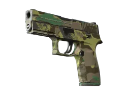 P250 | Boreal Forest (Field-Tested)