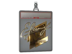 Sticker Slab | flamie (Gold) | Boston 2018