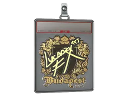 Sticker Slab | Lucaozy (Gold) | Budapest 2025