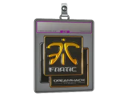 Sticker Slab | Fnatic (Foil) | DreamHack 2014
