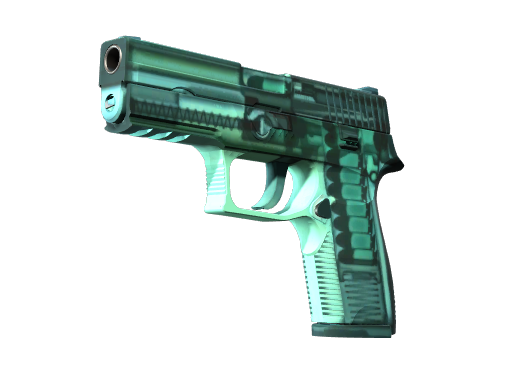 StatTrak™ P250 | X-Ray (Factory New)