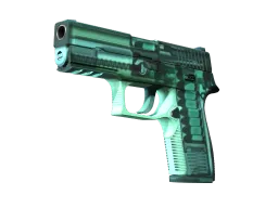 StatTrak™ P250 | X-Ray (Factory New)