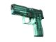 P250 | X-Ray CS2 skin