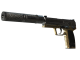 USP-S | Lead Conduit (Minimal Wear)