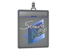 Sticker Slab | ScreaM | Boston 2018
