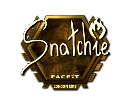 snatchie - CS2 Skin Prices