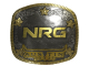 Sticker | NRG (Gold) | Austin 2025