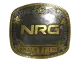 Sticker | NRG (Gold) | Austin 2025 CS2 skin