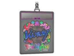 Sticker Slab | Kursy (Holo) | Budapest 2025