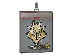 Sticker Slab | G2 Esports (Gold) | Antwerp 2022