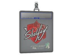 Sticker Slab | shalfey | Antwerp 2022