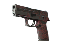 P250 | Contaminant (Battle-Scarred)