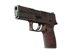 P250 | Contaminant CS2 skin