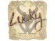 Sticker | Lucky | Austin 2025 CS2 skin