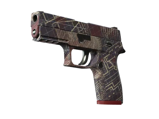P250 | Facility Draft (Minimal Wear)
