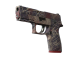 P250 | Facility Draft (Minimal Wear)