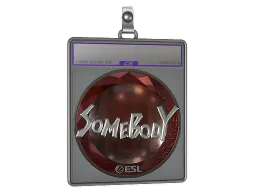 Sticker Slab | somebody (Foil) | Katowice 2019