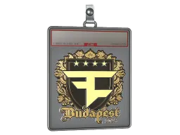 Sticker Slab | FaZe Clan (Gold) | Budapest 2025