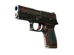 P250 | Cyber Shell (Well-Worn)