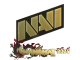 Sticker | Natus Vincere (Gold) | Shanghai 2024
