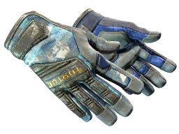 ★ Specialist Gloves | Mogul (Battle-Scarred)