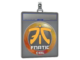 Sticker Slab | Fnatic | Katowice 2019