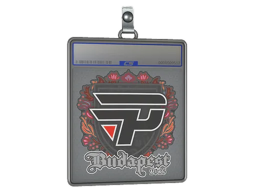 Sticker Slab | paiN Gaming | Budapest 2025