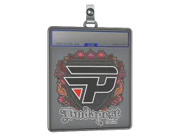 Sticker Slab | paiN Gaming | Budapest 2025
