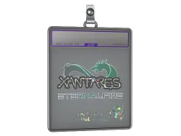 Sticker Slab | XANTARES (Glitter) | Antwerp 2022