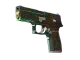 P250 | Visions CS2 skin