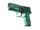 P250 | X-Ray CS2 skin