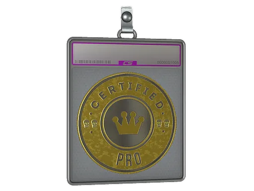 Sticker Slab | The Pro (Foil)