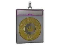 Sticker Slab | The Pro (Foil)