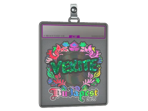Sticker Slab | vexite (Holo) | Budapest 2025